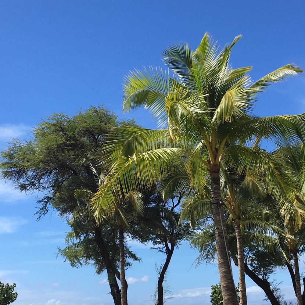 Meet your Posher, Margaret